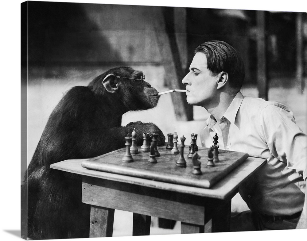 Profile of a young man and a chimpanzee smoking cigarettes and playing chess.