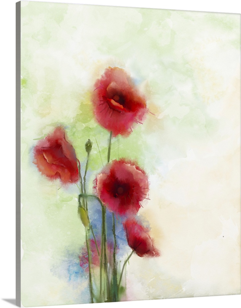 Red poppy, originally watercolor painting.