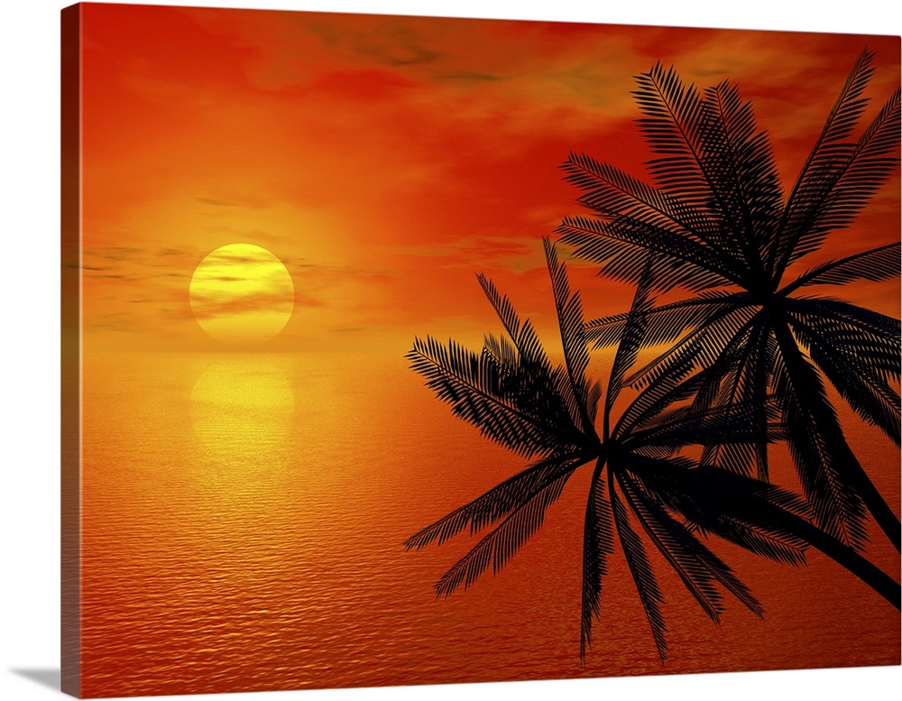 Red Sunset And Palm