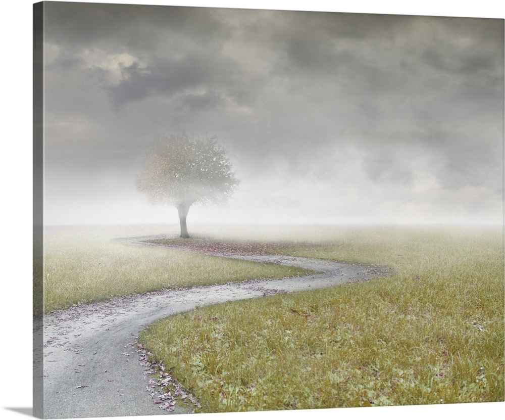 Beautiful landscape with an isolated tree and a path with clouds and fog.