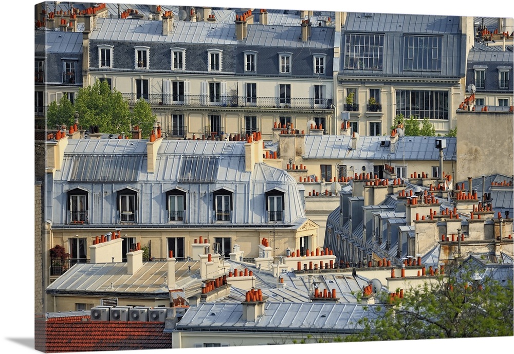 Roofs in residential quarter of Montmartre in Paris.