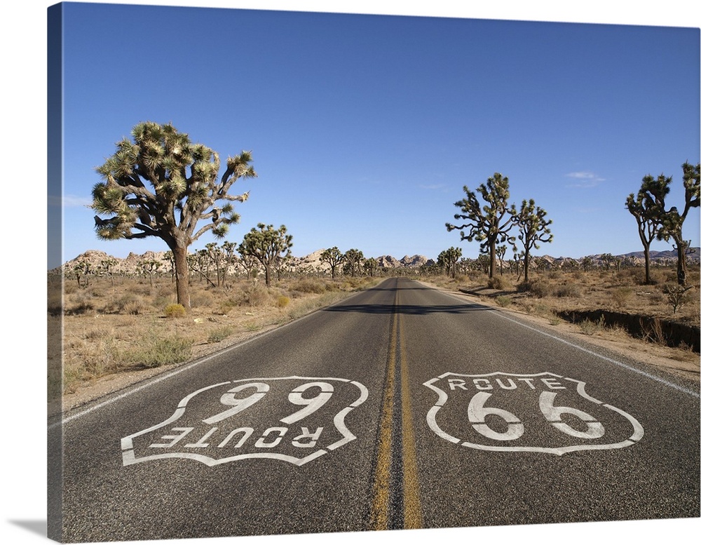 Route 66 with Joshua Tree trees deep inside California's Mojave Desert.