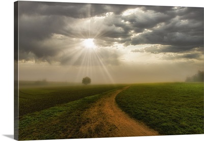 Rural Landscape, Foggy Sunrise With Sunbeams Breaking Through Clouds