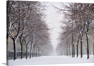 Snow In Paris