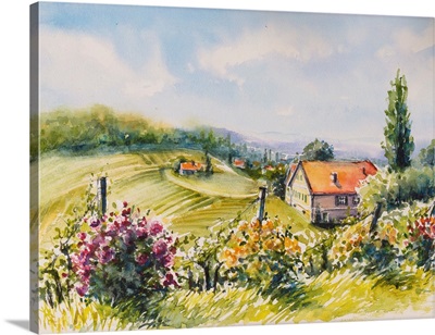 Sommer Vineyards And Rose Bushes In South Styria, Austria