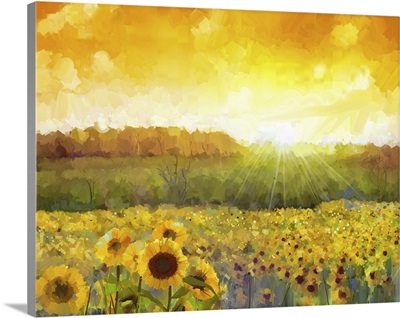 Sunflower Flower Blossom, A Rural Sunset Landscape