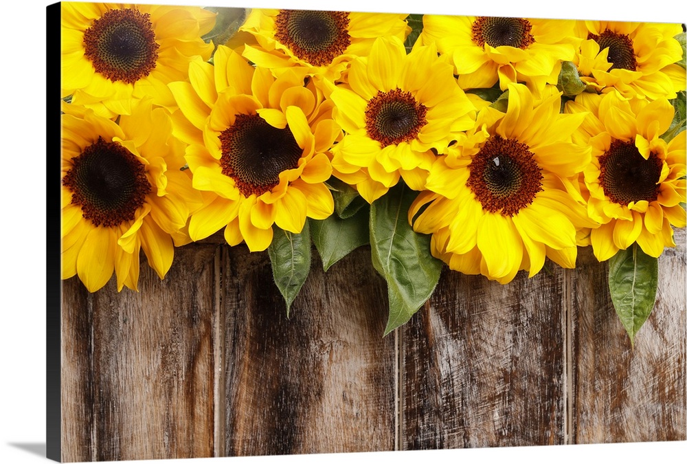 Sunflowers on wooden background.