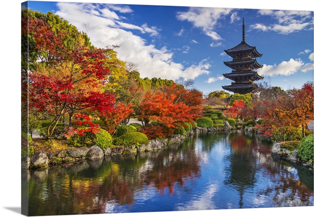 To-ji pagoda in Kyoto, Japan during the fall season.