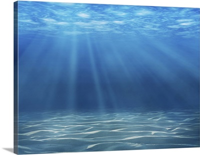 Tranquil Underwater