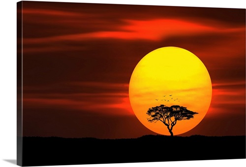 Tree With Birds At Sunset Wall Art, Canvas Prints, Framed Prints, Wall ...