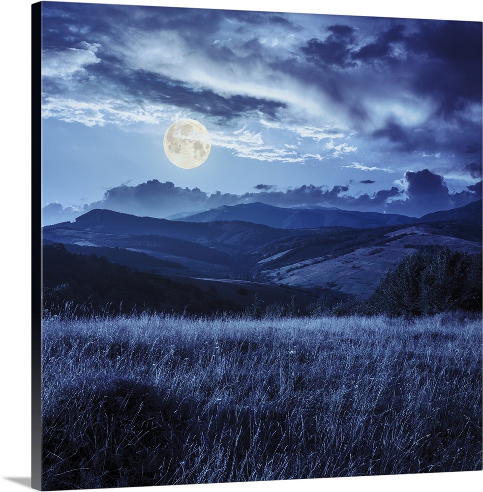 Mountain summer landscape. Trees near meadow and forest on hillside under sky with clouds at night in full moon light.