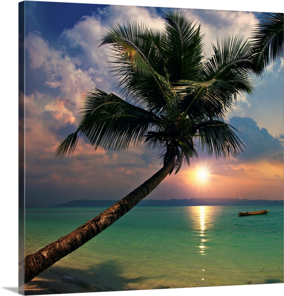 Tropical sea view with green wave splashing on sandy beach and palm tree.