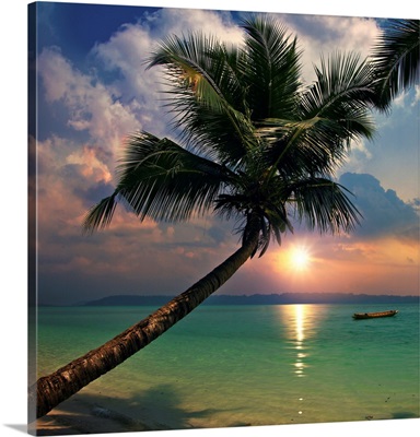 Tropical Sea View With Green Wave Splashing On Sandy Beach And Palm Tree