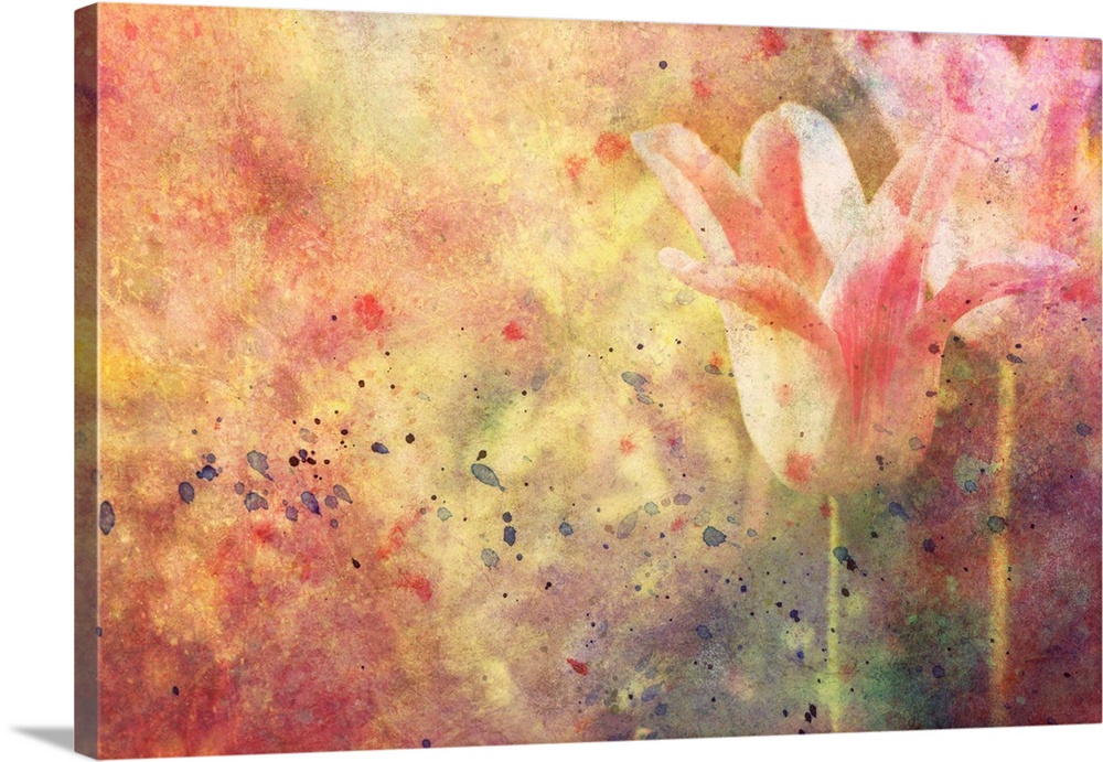 Artwork with tulips and watercolor splatter.