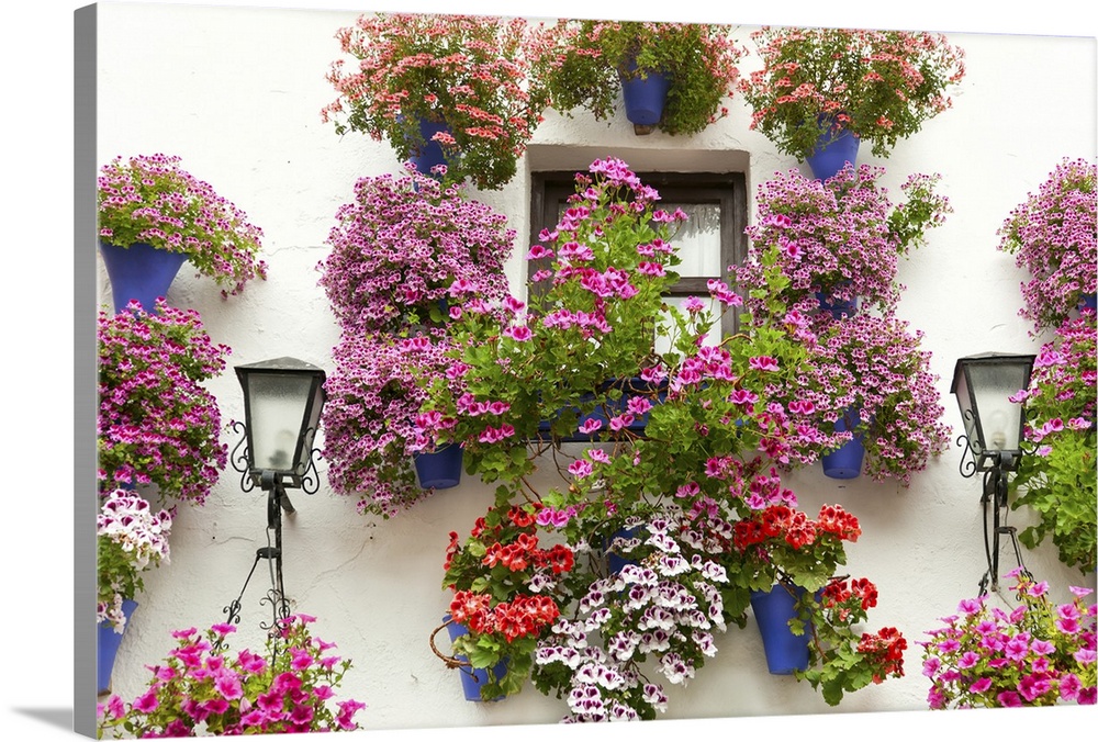 Typical window decorated pink and red flowers, Cordoba, Spain, Mediterranean Europe - travel.