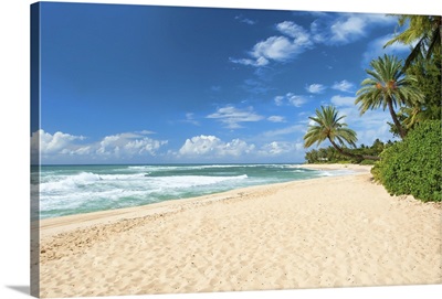 Untouched Sandy Beach With Palms Trees And Azure Ocean