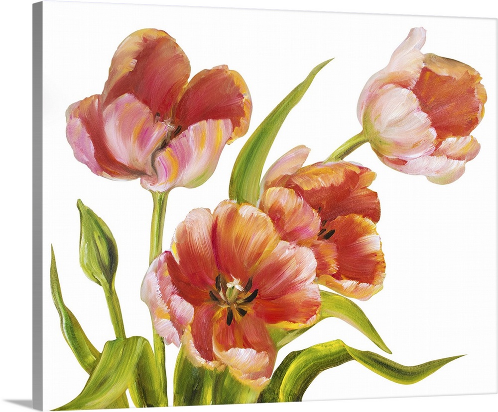 Vintage red tulips isolated on white. Originally an oil painting.