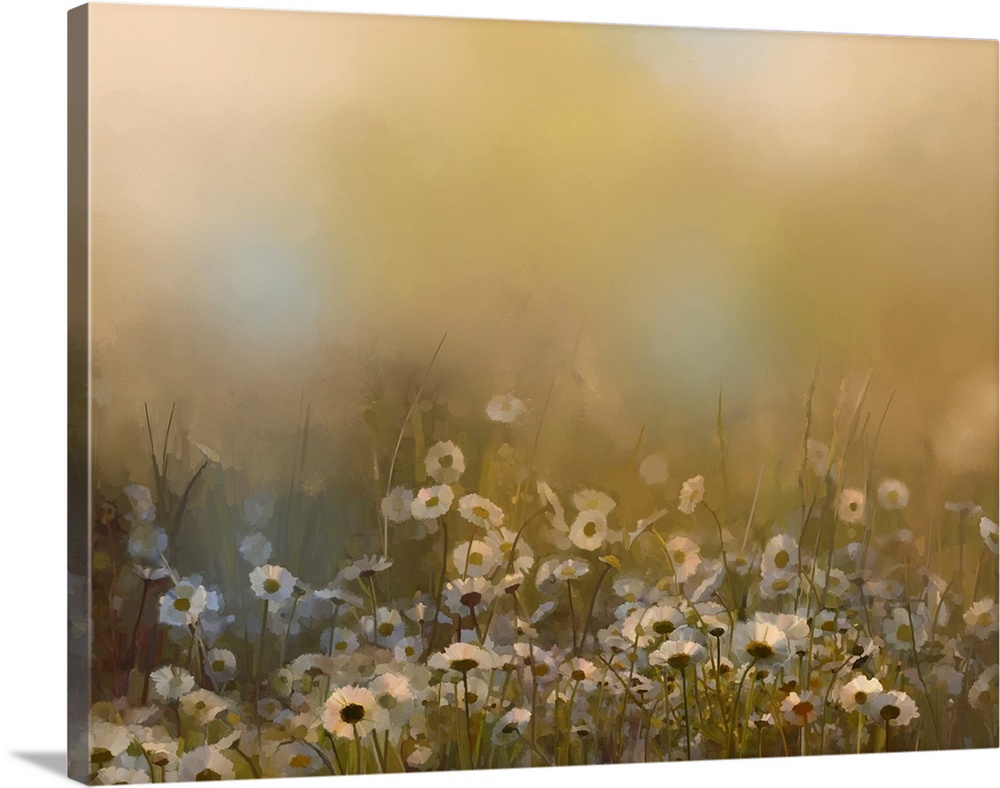 Vintage white daisy flowers in the meadows. Originally an abstract oil painting of a field of daisies at sunset in soft go...