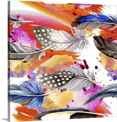 Watercolor Bird Feathers