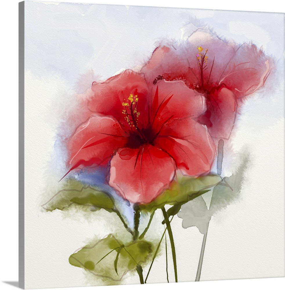 Watercolor Painting Red Hibiscus Flower Solid-Faced Canvas Print