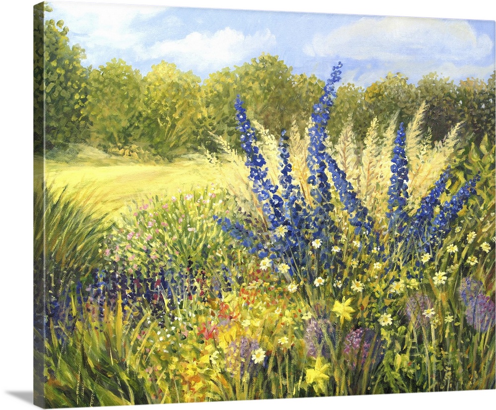 Vibrant wild flowers with beautiful blue delphiniums on a bright sunny day.