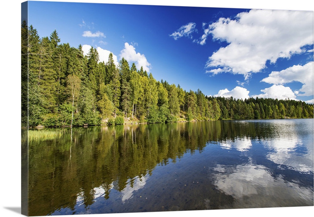 Norwegian landscape: Wild forest and lake.