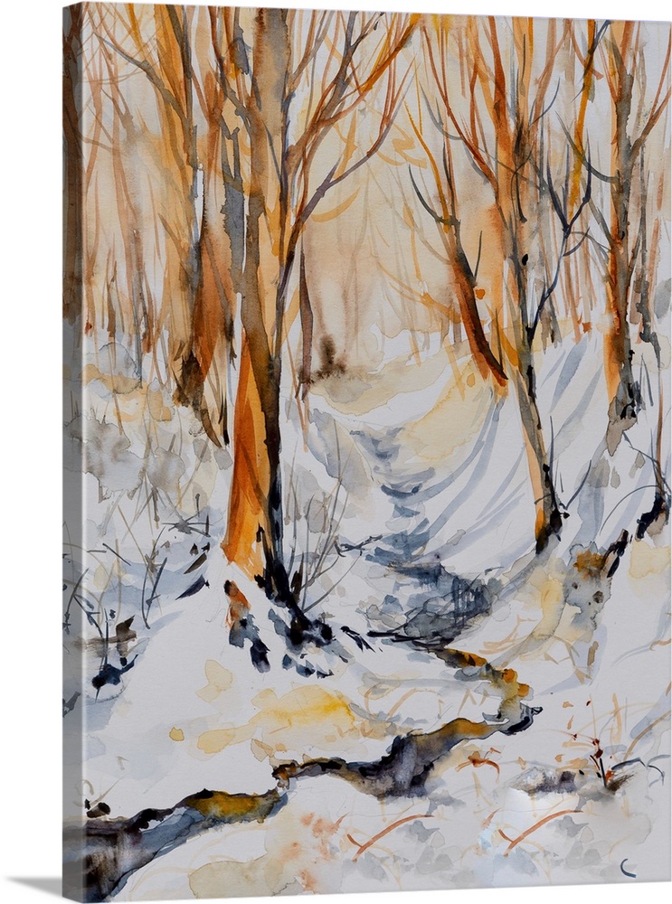 Winter Landscape With Creek In Sunny Forest