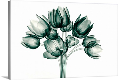 X-Ray Green Tulip Bouquet