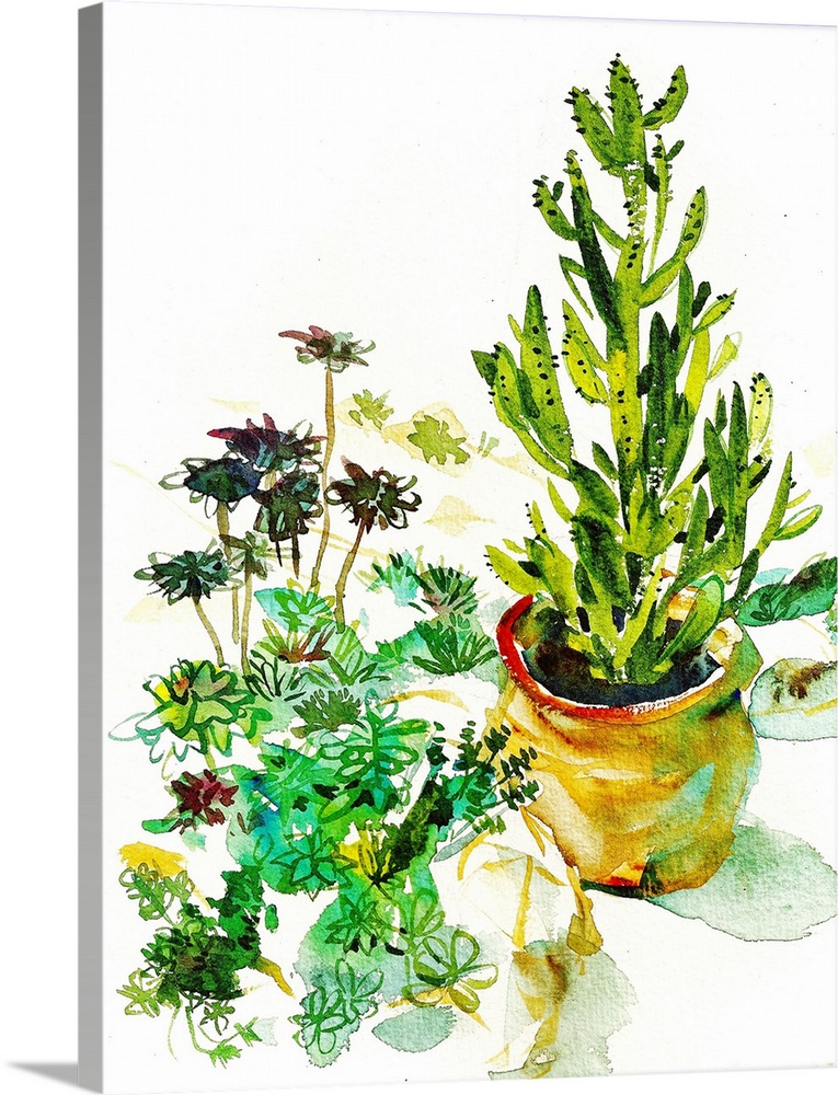 Loose watercolor study of a collection of succulents and a large potted cactus. Seen in the Volunteer Park conservatory in...
