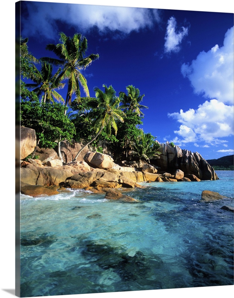 Africa, Seychelles, St Pierre Island