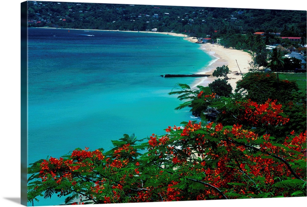La spiaggia lungo la Grande Anse . la pi. lunga dell'isola di Grenada.