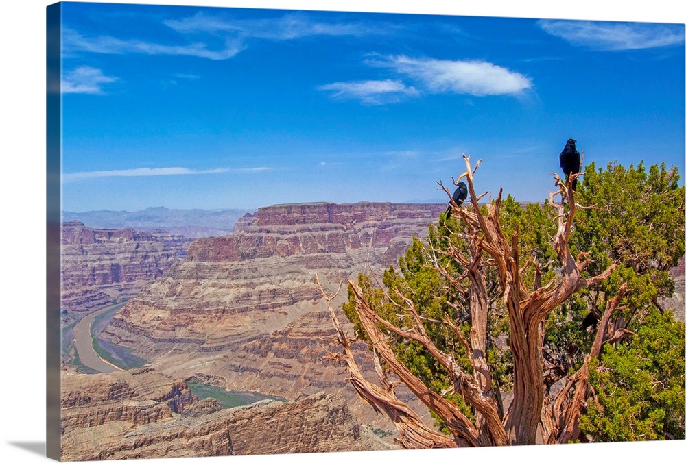 Arizona, Grand Canyon West, Canyon view with Colorado River from West Rim