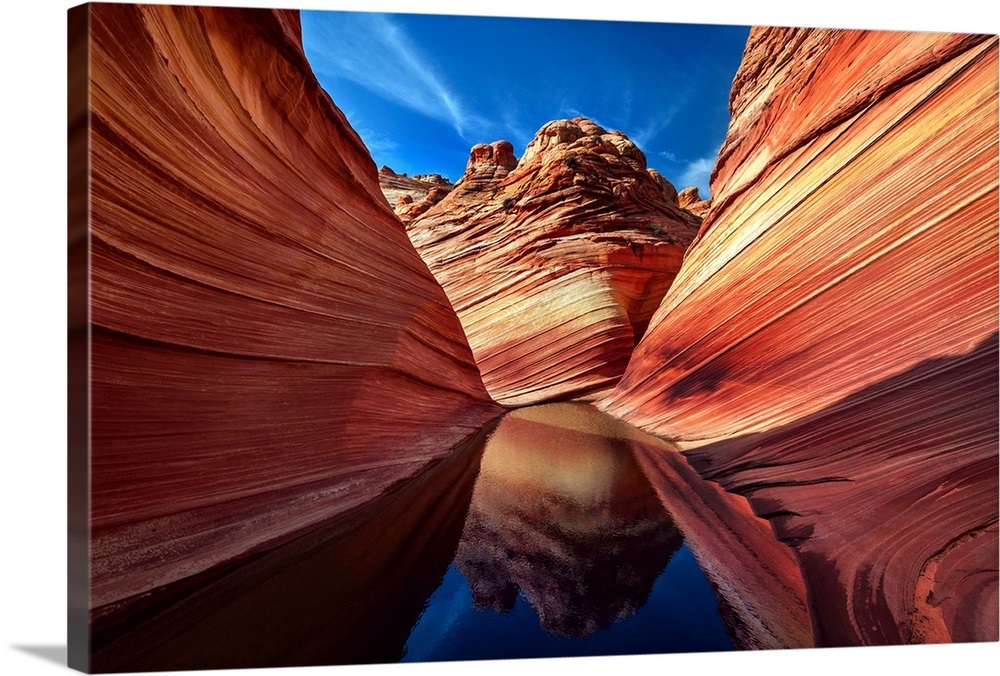 Arizona, Paria Canyon-Vermilion Cliffs Wilderness, The Wave, Coyote