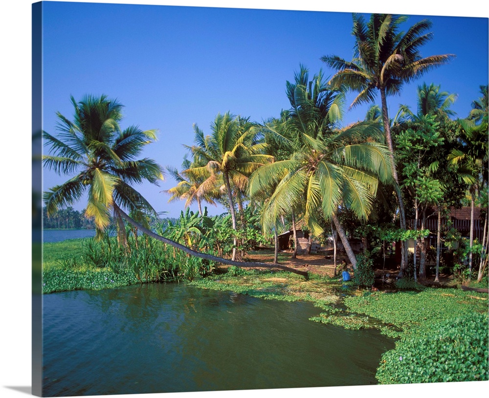 Asia, India, Bharat, Alleppey Backwaters