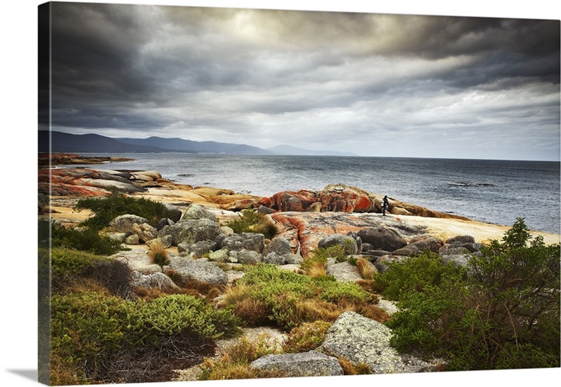 Australia, Tasmania, Bicheno, Diver at Bicheno foreshore Wall Art ...