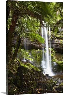 Australia, Tasmania, Mount Field National Park, Russell Falls