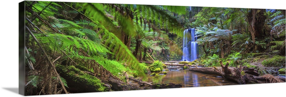 Australia, Victoria, Oceania, Great Ocean Road, Hopetoun waterfall in Otway Park