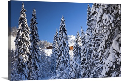 Austria, Salzburg, Pongau, Filzmoos, winter landscape at Neuberg