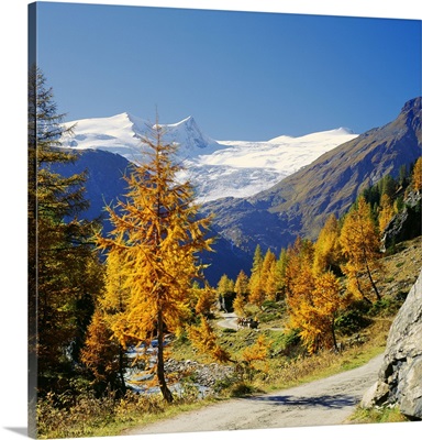 Austria, Tyrol, Innergschloss valley, Gross Venediger mountain