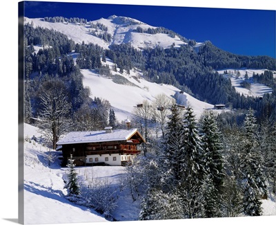 Austria, Tyrol, Kitzbuheler Horn mountain