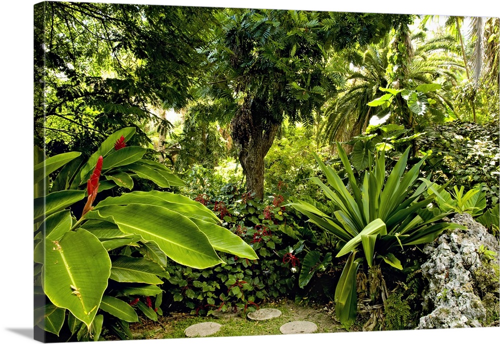 Barbados, Andromeda Botanic Gardens