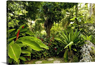 Barbados, Andromeda Botanic Gardens