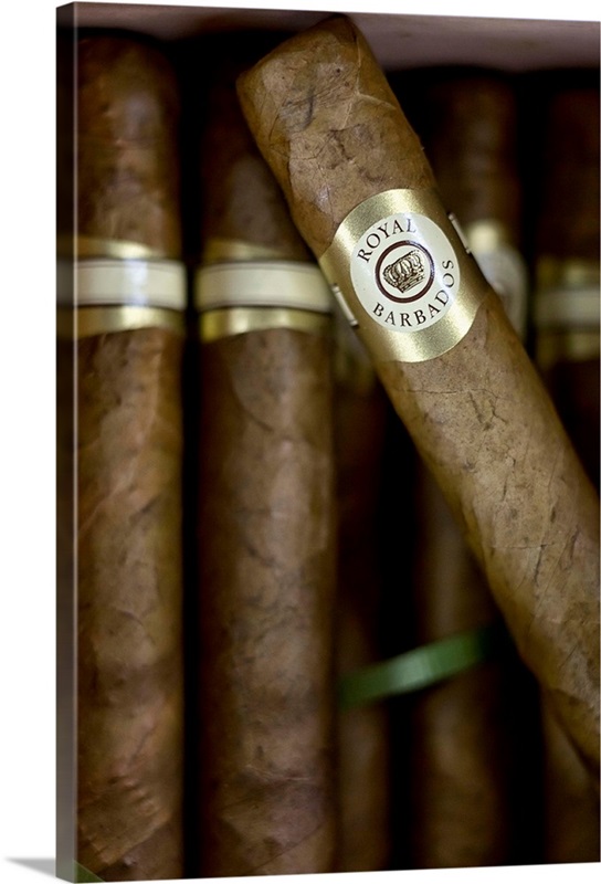 how much is tobacco in barbados Barbados, Bridgetown, Royal Barbados Cigar factory