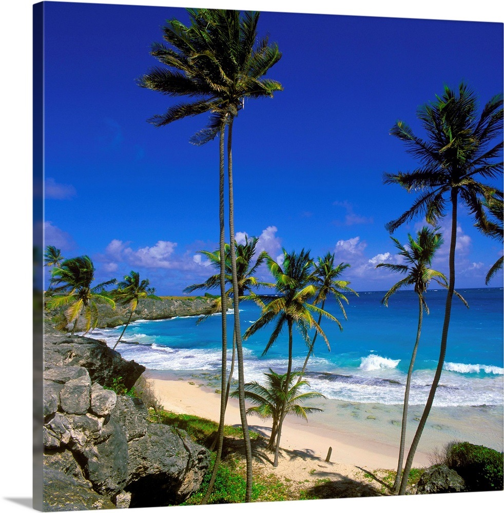 Barbados, East Coast, Cave Bay Wall Art, Canvas Prints, Framed Prints