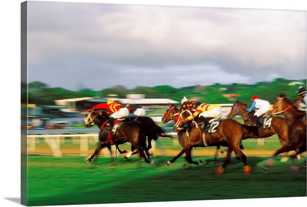 Barbados, December 2002. Horse rancing..Photo:Alberto Biscaro