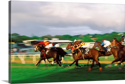 Barbados, Horse race