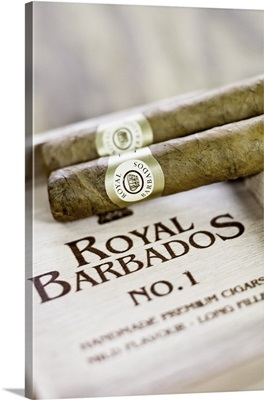 Barbados, West Indies, Bridgetown, Royal Barbados Cigar factory