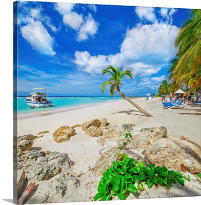 Barbados, West Indies, Worthing Beach, locally known as Sandy Beach