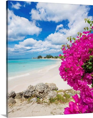 Barbados, Worthing Beach, locally known as Sandy Beach Wall Art, Canvas ...