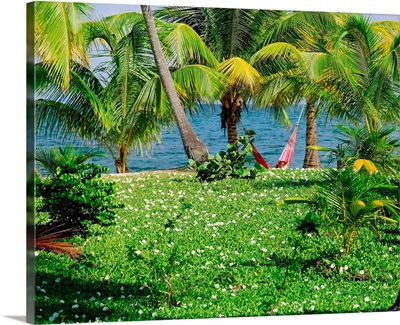 Belize, Caribbean, Placencia, coast
